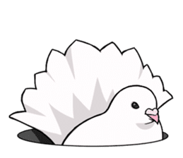 Cute Pigeon2 sticker #7616046