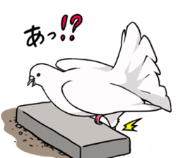 Cute Pigeon2 sticker #7616049