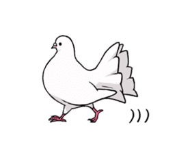 Cute Pigeon2 sticker #7616050