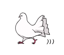 Cute Pigeon2 sticker #7616050