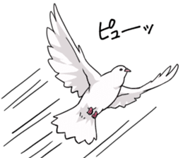 Cute Pigeon2 sticker #7616051