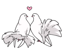 Cute Pigeon2 sticker #7616057