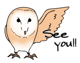 3 Owls English ver. sticker #7617186