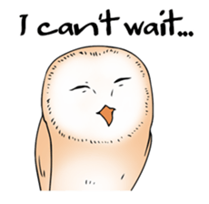 3 Owls English ver. sticker #7617191