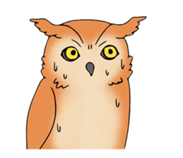 3 Owls English ver. sticker #7617200