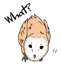 3 Owls English ver. sticker #7617203