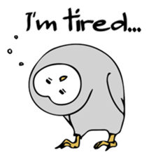 3 Owls English ver. sticker #7617204