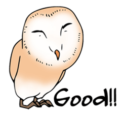 3 Owls English ver. sticker #7617207