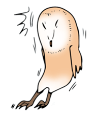 3 Owls English ver. sticker #7617211