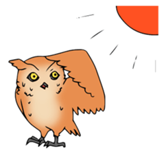 3 Owls English ver. sticker #7617219