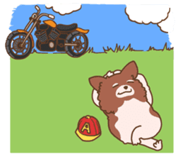 motorcycle Apolorider sticker #7617222