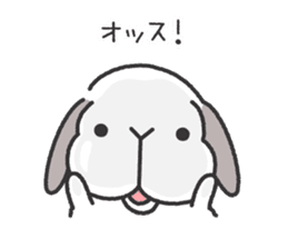 Lop Bunny, SHARIKICHI ~uh-huh~ sticker #7619958