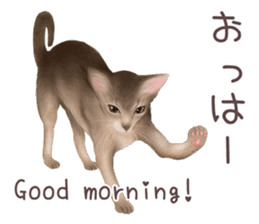 zumo cats sticker vol.2 (Japanese) sticker #7620476