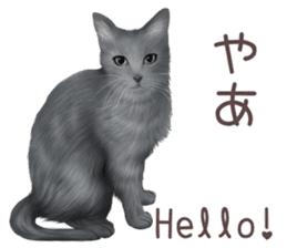 zumo cats sticker vol.2 (Japanese) sticker #7620477