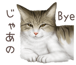 zumo cats sticker vol.2 (Japanese) sticker #7620478
