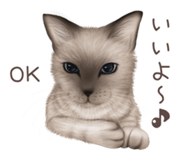 zumo cats sticker vol.2 (Japanese) sticker #7620479