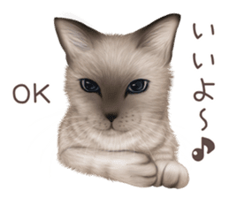 zumo cats sticker vol.2 (Japanese) sticker #7620479