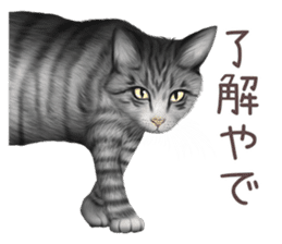 zumo cats sticker vol.2 (Japanese) sticker #7620480