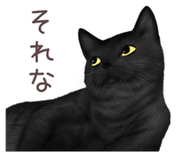 zumo cats sticker vol.2 (Japanese) sticker #7620481