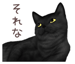 zumo cats sticker vol.2 (Japanese) sticker #7620481