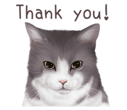 zumo cats sticker vol.2 (Japanese) sticker #7620484