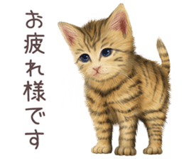 zumo cats sticker vol.2 (Japanese) sticker #7620487