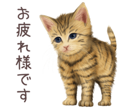 zumo cats sticker vol.2 (Japanese) sticker #7620487