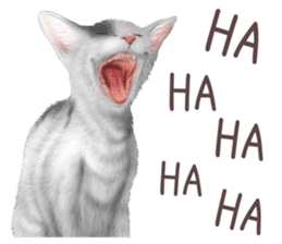 zumo cats sticker vol.2 (Japanese) sticker #7620488