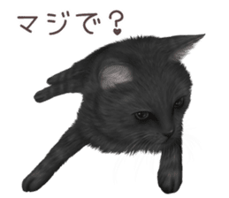 zumo cats sticker vol.2 (Japanese) sticker #7620489