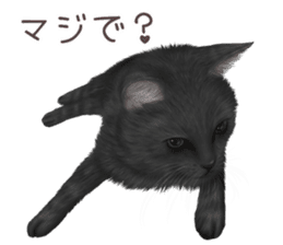 zumo cats sticker vol.2 (Japanese) sticker #7620489