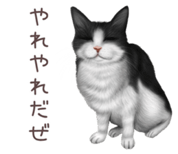 zumo cats sticker vol.2 (Japanese) sticker #7620491
