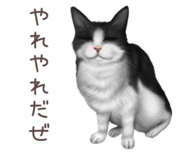 zumo cats sticker vol.2 (Japanese) sticker #7620491