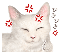 zumo cats sticker vol.2 (Japanese) sticker #7620492