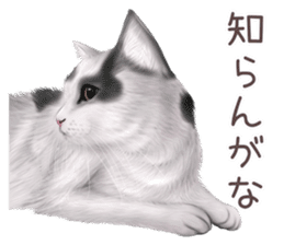 zumo cats sticker vol.2 (Japanese) sticker #7620493