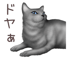 zumo cats sticker vol.2 (Japanese) sticker #7620494