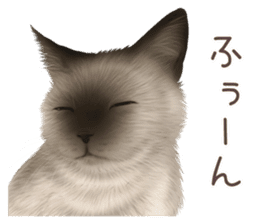 zumo cats sticker vol.2 (Japanese) sticker #7620495
