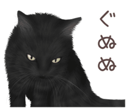 zumo cats sticker vol.2 (Japanese) sticker #7620496