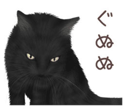 zumo cats sticker vol.2 (Japanese) sticker #7620496