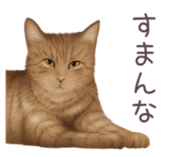 zumo cats sticker vol.2 (Japanese) sticker #7620497