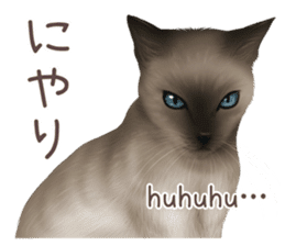 zumo cats sticker vol.2 (Japanese) sticker #7620498