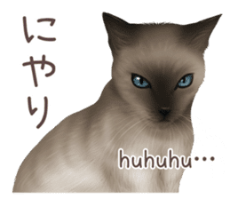 zumo cats sticker vol.2 (Japanese) sticker #7620498