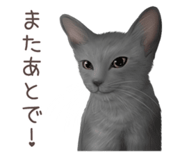 zumo cats sticker vol.2 (Japanese) sticker #7620499
