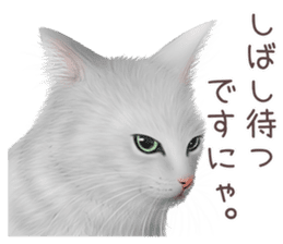 zumo cats sticker vol.2 (Japanese) sticker #7620500