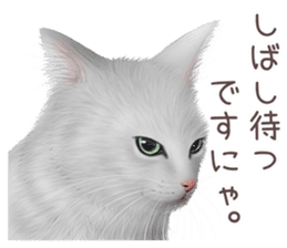 zumo cats sticker vol.2 (Japanese) sticker #7620500
