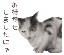 zumo cats sticker vol.2 (Japanese) sticker #7620501