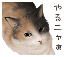 zumo cats sticker vol.2 (Japanese) sticker #7620502