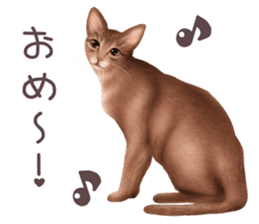 zumo cats sticker vol.2 (Japanese) sticker #7620503