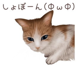 zumo cats sticker vol.2 (Japanese) sticker #7620504
