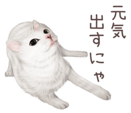 zumo cats sticker vol.2 (Japanese) sticker #7620506