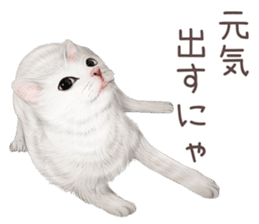 zumo cats sticker vol.2 (Japanese) sticker #7620506